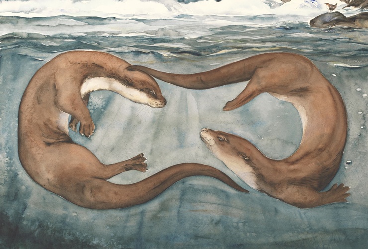 Lost Words - Otters