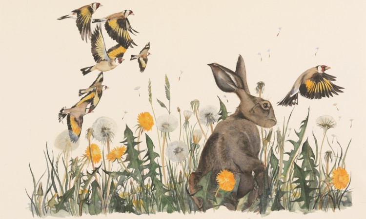 Dandelion and Hare