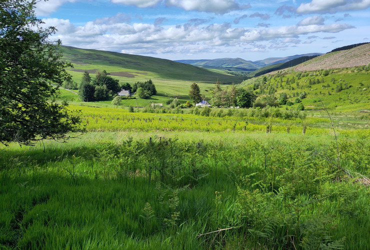 Glenlude 