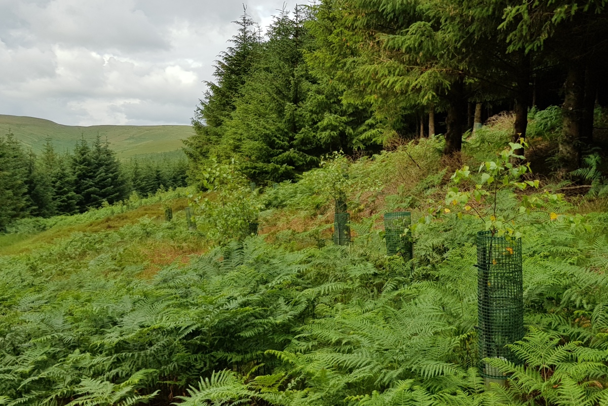 PAT 2020 - Glenlude