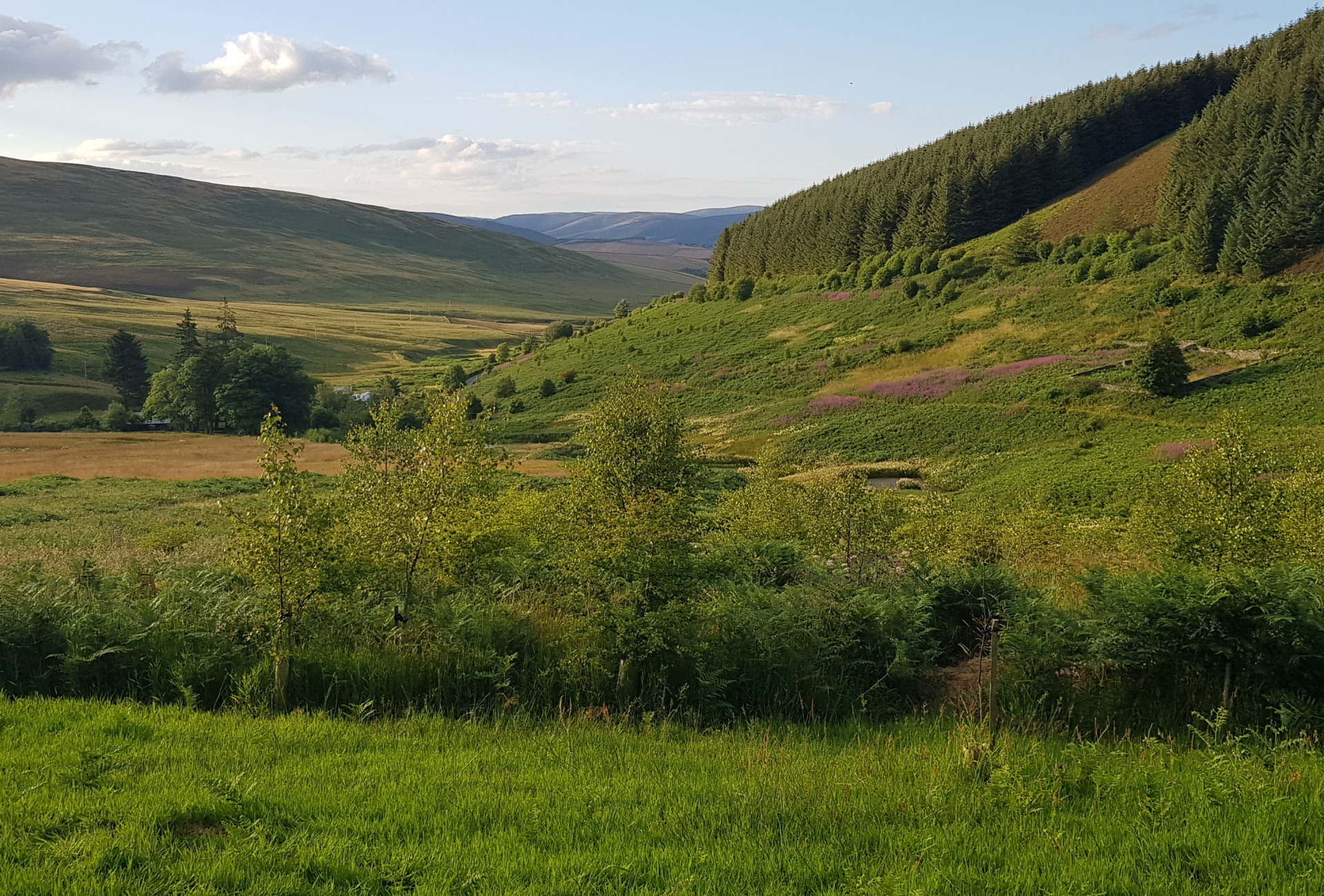 Glenlude 