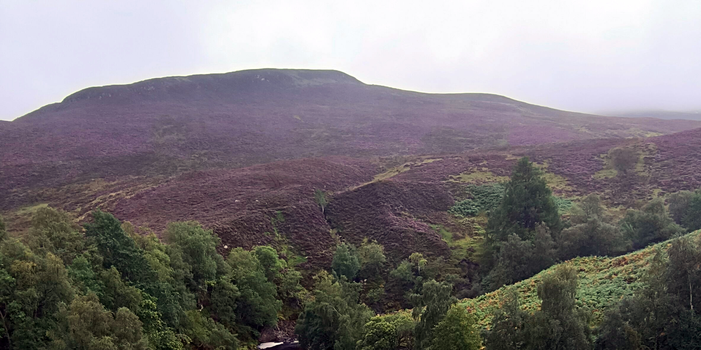 Schiehallion TC1