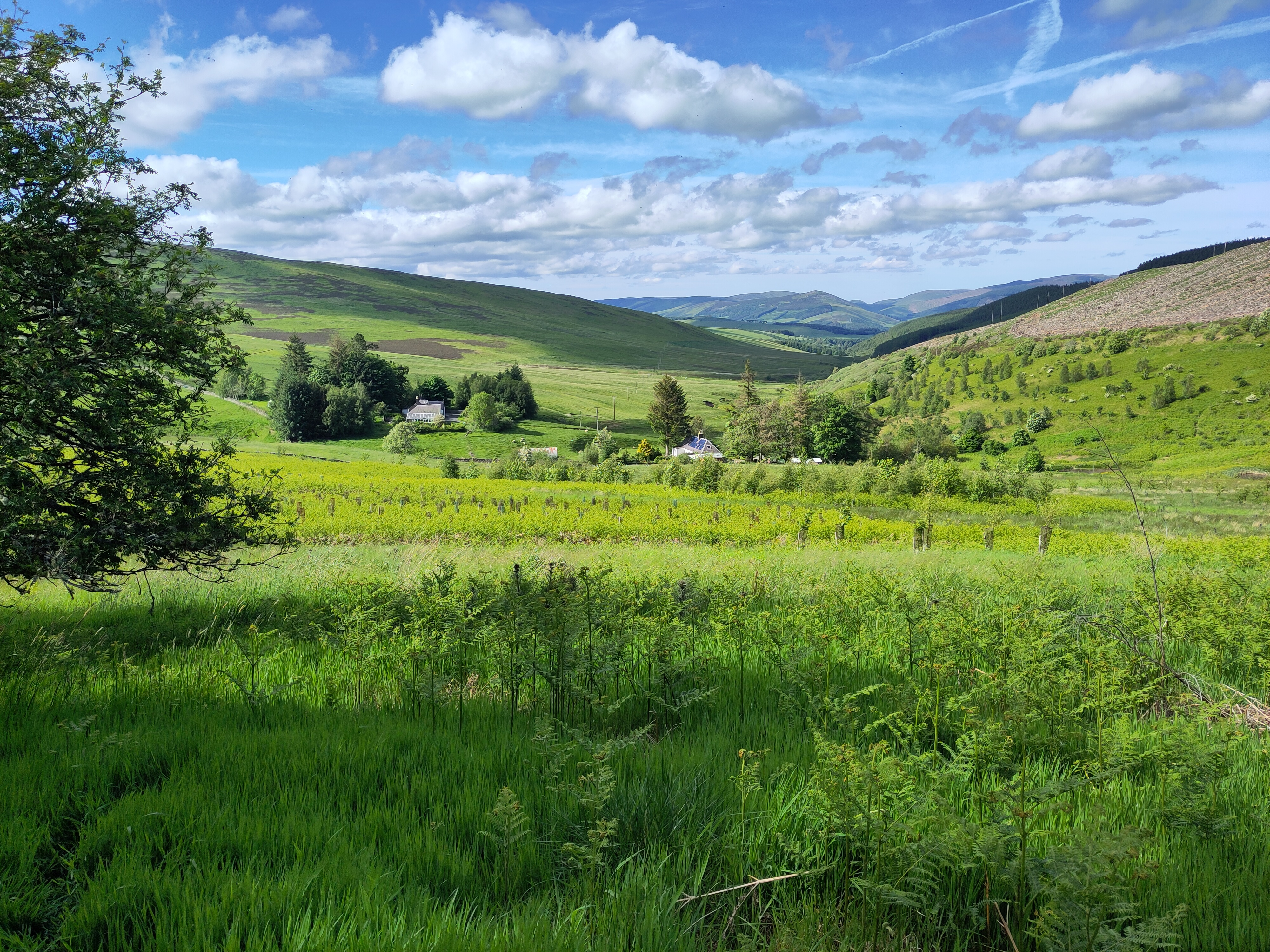 Glenlude 